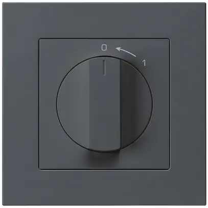Contact pivotant ENC 0<-1/1L anthracite kallysto.pro avec manette 