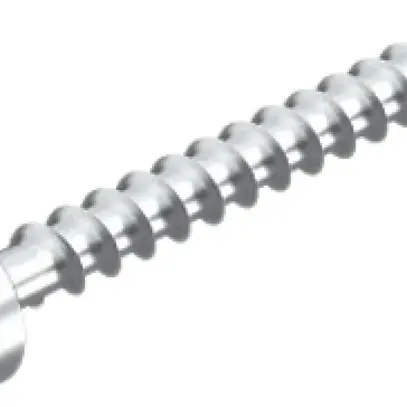 Ancoraggio a vite tagliafuoco Bettermann T30 7.5×80mm acciaio galvanico zincato 
