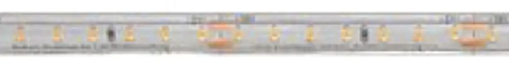Striscia LED DOTLUX 48W 10mm 5000K IP66 rotolo 5m cavo di raccordo 1 lato 15cm 
