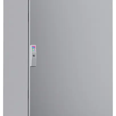 Armoire électrique Rittal SE 5850.600 600×1600×400mm IP55 IK10 acier affiné 