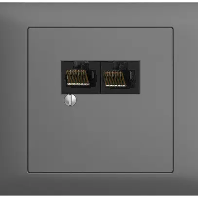 Boîte INC 2×RJ45/u 4P sép.gris foncé EDIZIOdue R&M swissline 