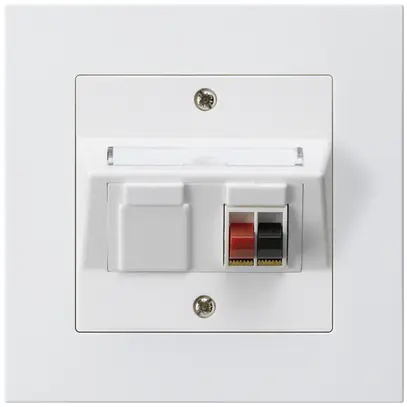 Prise ENC audio kallysto.pro 1×blanc borne à étrier pour 1 haut-parleur 