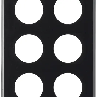 Plaque de recouvrement basico 3×2 6×43mm noir 