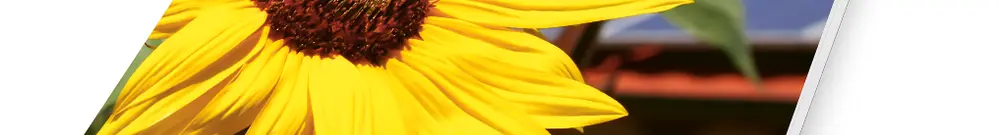 Fachbroschüre Solar 2019 deutsch 