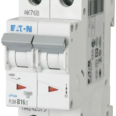 Disjoncteur PLSM-B16 2L 