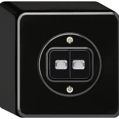 Contact à poussoir lumineux AP basico 2×AR/1L noir 
