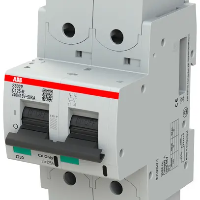 Disgiuntore ABB S802P-C125-R 2P 400V C-125A 50kA 3.5UM 