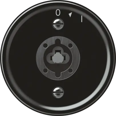 Pulsante rotativo origin senza cilindro 1P 0<1 10A 230V 60×60mm nero 
