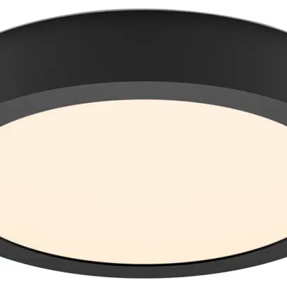 Downlight LED AP Philips Slim Surface 12W 1150lm 827 110° Ø210mm noir 