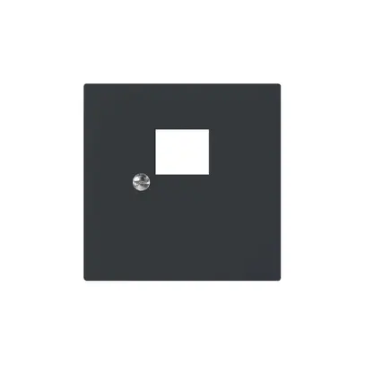 Plaque frontale SIDUS pour RJ45 anthracite 
