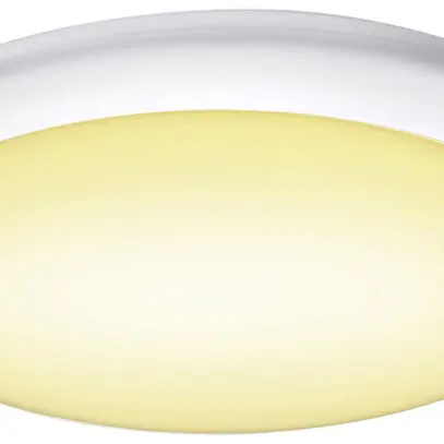 Plafonnier/applique LED SLV RUBA 42 22W 2300lm 3000/4000K 120° IP65 blanc 