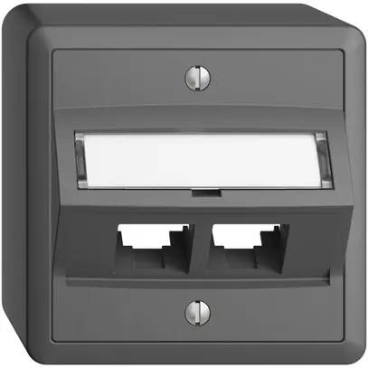 Kit de montage AP S-One EDIZIOdue FX pour 2×RJ45 oblique, gris foncé 