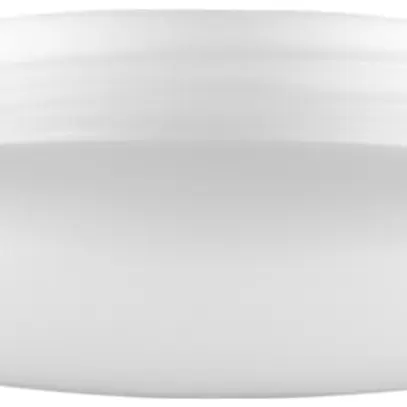 Vetro filettato Roesch ovale, filetto 99mm, Ø200×52mm opale 