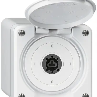 Interrupteur à clé AP robusto IP55 avec clapet sans cylindre S0/3P blanc 