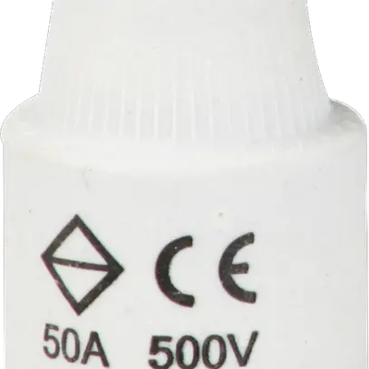 Fusibile D DTIII 50A 500V gG con indicatore 