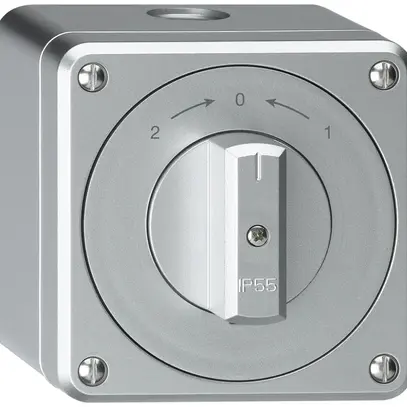 AP-Schwenktaster robusto IP55 aluminium Wechsler 