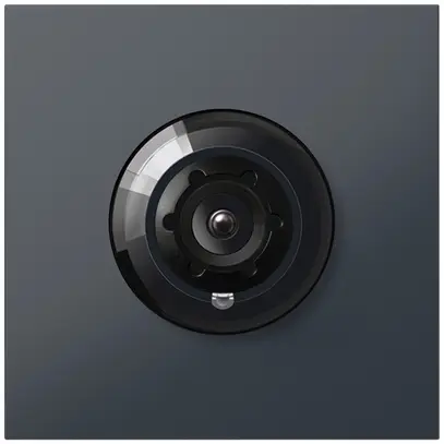 Module caméra Siedle Vario système bus 24V DC 175° PTZ anthracite 