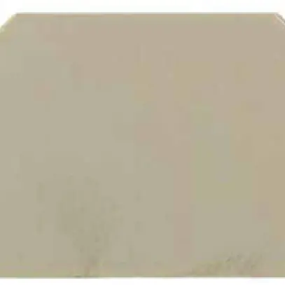 Piastra terminale Weidmüller WAP 2.5-10 56×1.5mm beige 