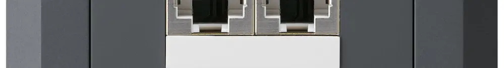 Boîte ENC kallysto.line 2×RJ45s anthracite parallèle 