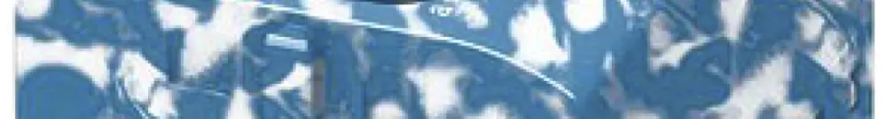 Bloc de distribution PX PTFIX 6/12X2,5 BUWH 