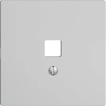 Kit frontale EDIZIOdue grigio chiaro 60×60mm per interfaccia USB 