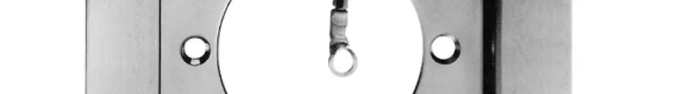 Telaio di copertura grd.II PMK per apparecchi P con ritaglio 43mm 