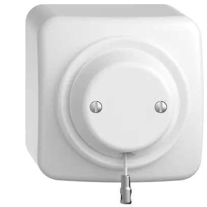 Interrupteur à tirage AP STANDARDdue blanc 16A 250V 