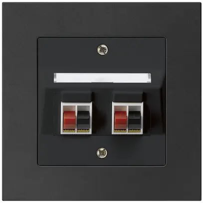Prise ENC audio kallysto.pro 2× noir borne à étrier pour 2 haut-parleurs 