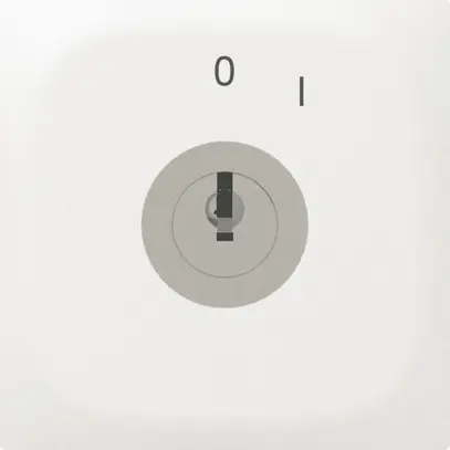Pulsante rotativo INC SIDUS E 1CL SS bianco 