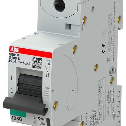 Disgiuntore ABB S801P-D100-R 1P 230V D-100A 50kA 1.5UM 