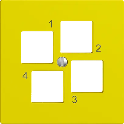 Kit de montage EDIZIOdue EASYNET S-One, pour 4×RJ45, sortie droite, lemon 