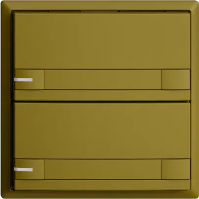 Poussoir ENC KNX 2× EDIZIOdue colore olive RGB avec LED avec insert papier 