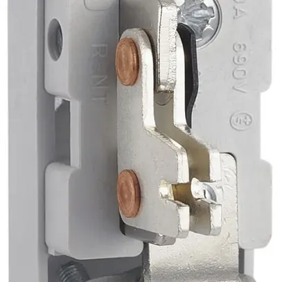 Sezionatore neutro INS R-NT 25…160A montaggio sbarra conduttrice <10mm morsetto 