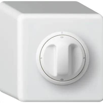 Interruttore rotativo AP basico 1/1L bianco con manopola 