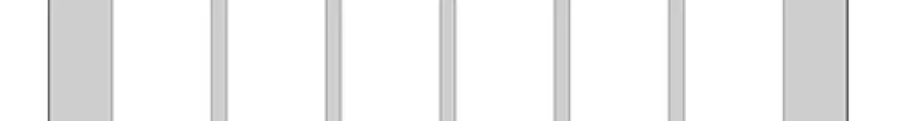 Montageplatte FH FLF 1×6 schwarz 