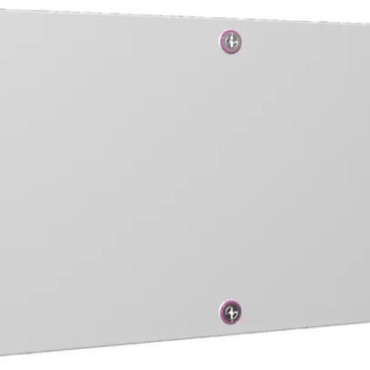Piccola scatola Rittal KX Derivazione, IP66, 600×300×120mm, lamiera d'acciaio 