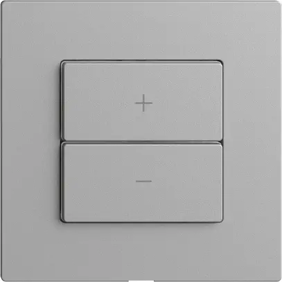 Dimmer DALI 1K/2T Edue Wiser silver 
