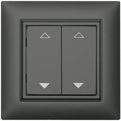 Pulsante RF AP ALADIN EnOcean EDIZIOdue, 2-volte, grigio scuro, V/Λ 