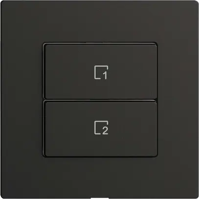 Pulsante scena 2 scene verticale/2T WLAN Edue Wiser nero 