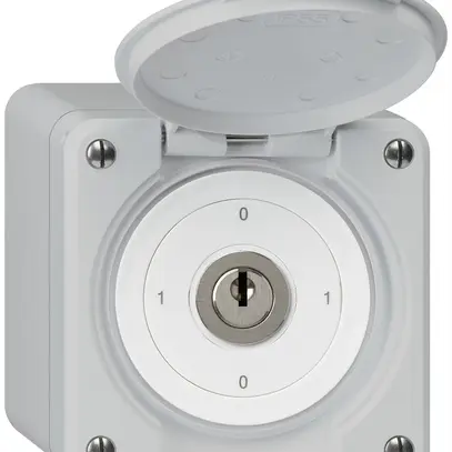 AP-Schlüsselschalter robusto IP55 mit Klappdeckel S0/3P grau 
