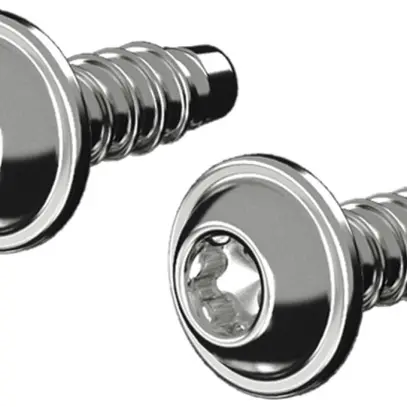 Vis Rittal AX 1485.300 14mm TX M5 tête bombée 50pcs 