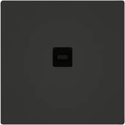 Interfaccia dati USB KNX EDIZIO.liv SNAPFIX® presa USB tipo B ne 