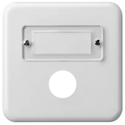 Placca di copertura INC basico I 1×suoneria bianco 