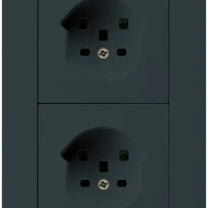 Combi ENC 2×1 HA kallysto.trend 2×type 25 avec bornes enfichables noir 