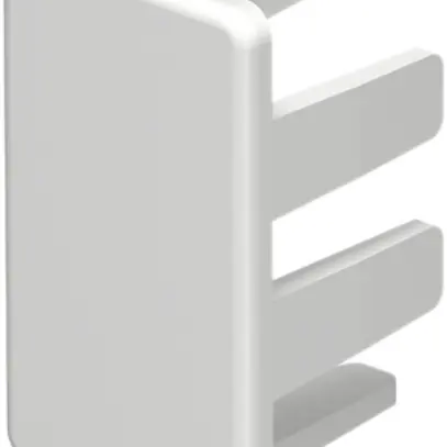 Plaque de fermeture Bettermann pour canal d'installation WDK blanc pur 15×30mm 