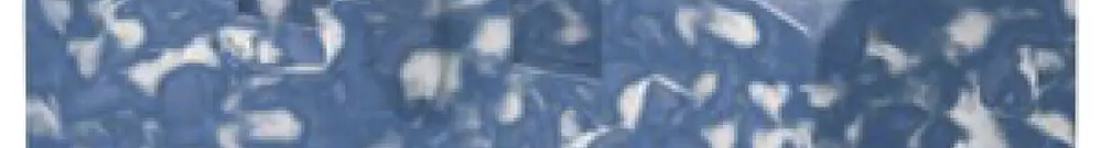 Blocco di distribuzione PX PTFIX 6/6X2,5 BUWH 