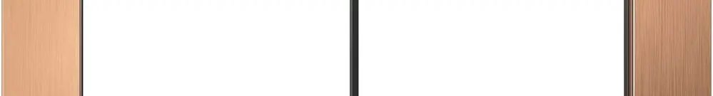 Intestazione INC EDIZIO.liv prestige SNAPFIX® 1×2 94×154mm ottone champagne 