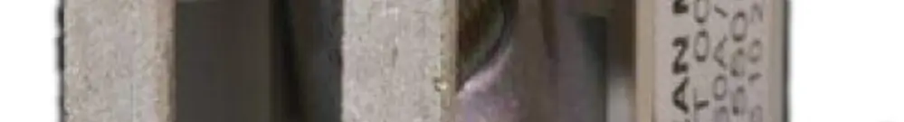 Sezionatore di neutro ST00 