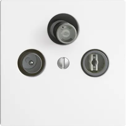 Prise d'antenne SAT/TV/R DB53 EDIZIOdue blanc avec SAT-F 