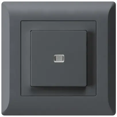 Contact à poussoir lumineux ENC kallysto.line AR/1P anthracite 
